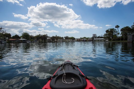 A Weekend in Crystal River, Florida
